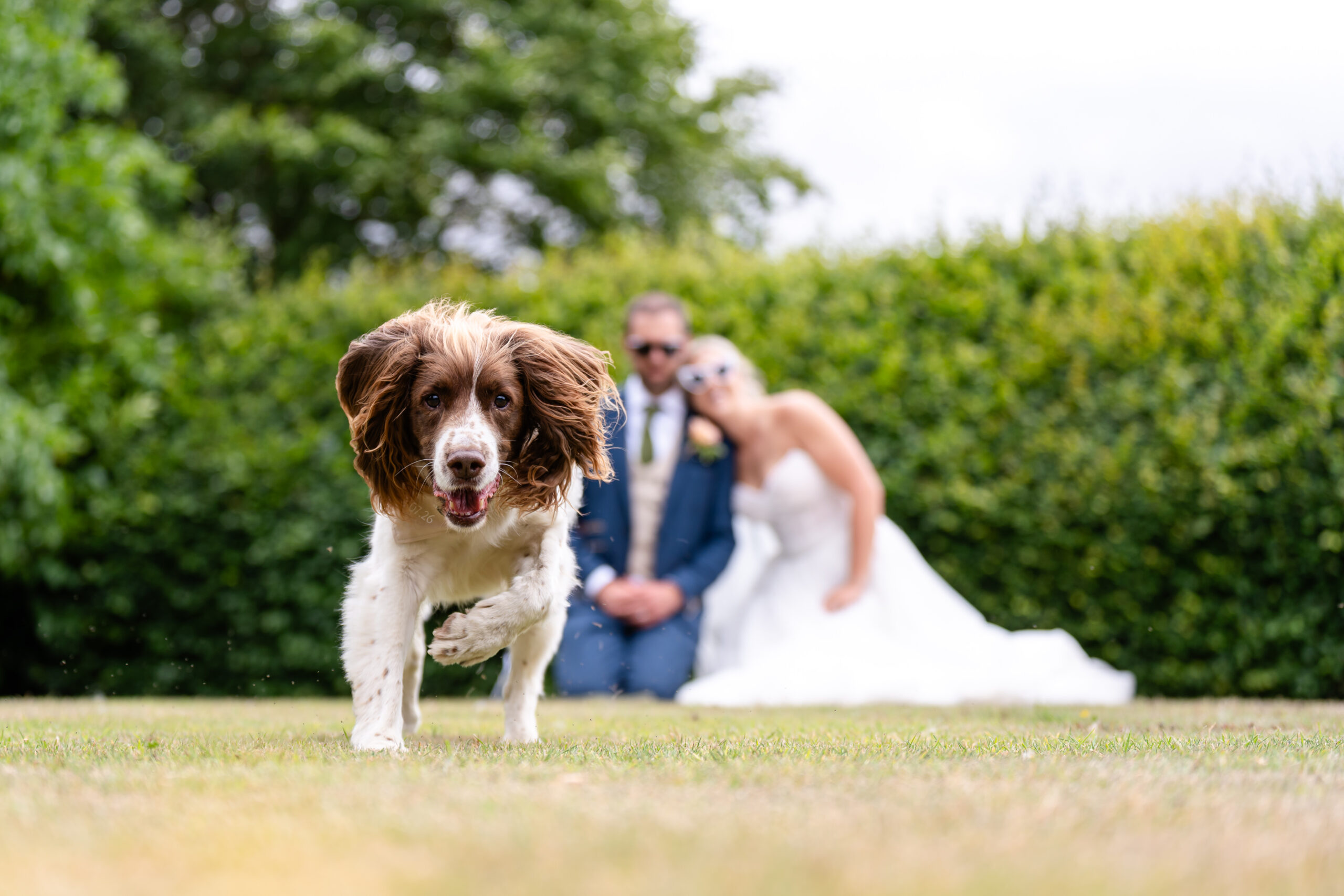 Bride and Groom with their dog on their wedding day